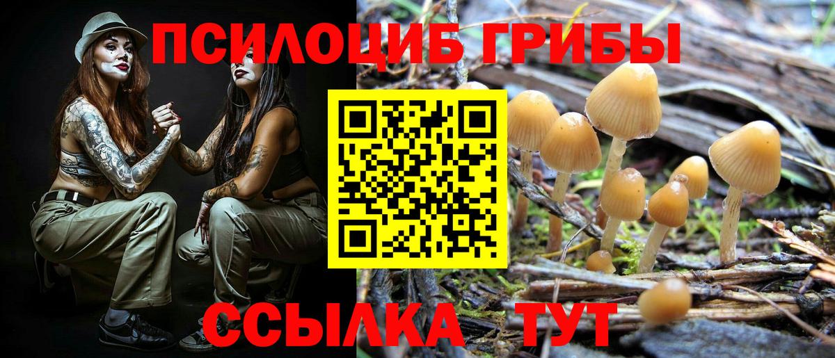 Галлюциногенные грибы мухоморы  Вход с VPN  Галлюциногенные грибы Psilocybine cubensis  Шали 
