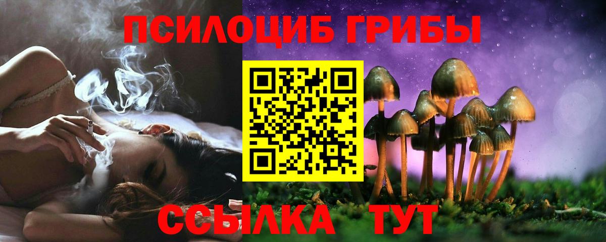 Псилоцибиновые грибы мицелий Шали